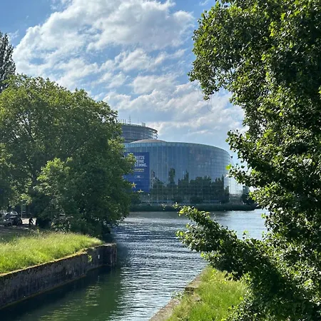 Les Hortensias * Fortschwihr