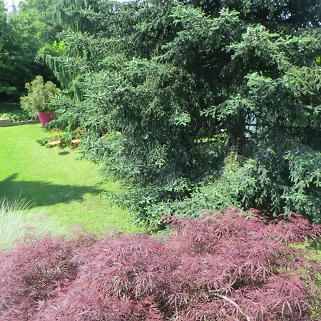 Alloggio in famiglia Les Hortensias Fortschwihr