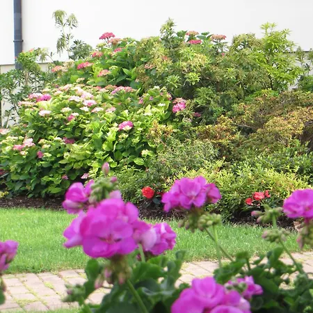 Les Hortensias Pansiyon Fortschwihr