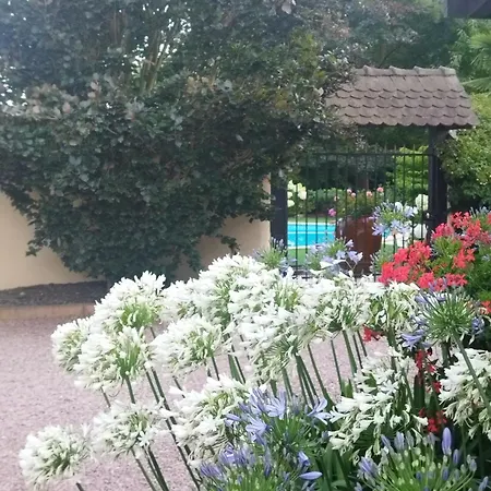 Les Hortensias *