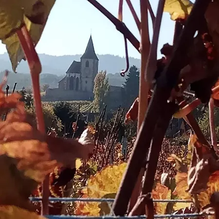 Pansiyon Les Hortensias Fortschwihr