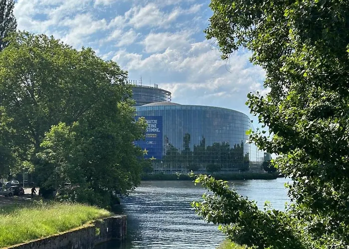 Les Hortensias * Fortschwihr