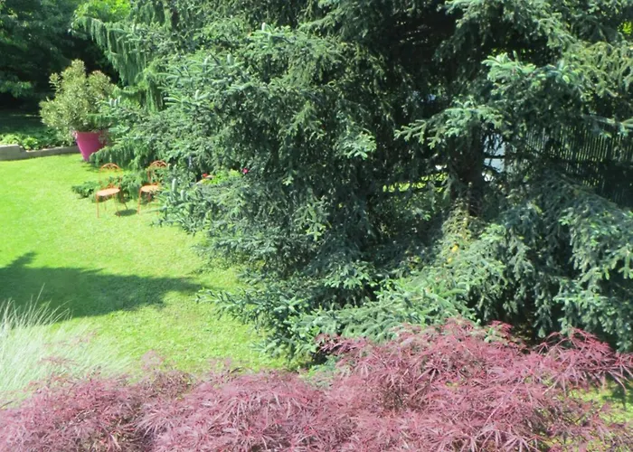 Homestay Les Hortensias Fortschwihr