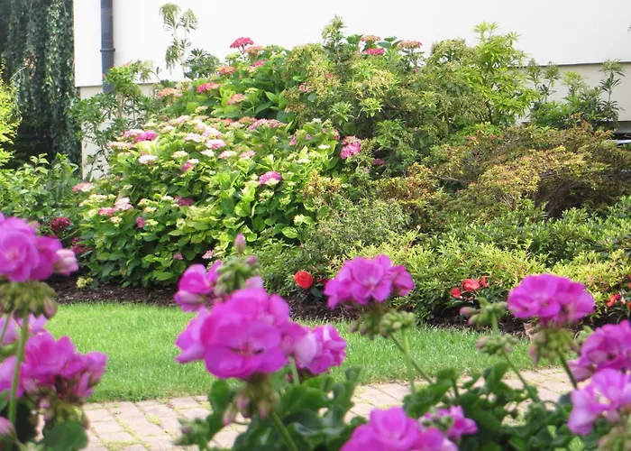 Les Hortensias Homestay Fortschwihr