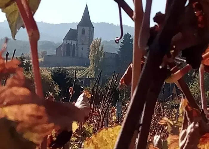 Homestay Les Hortensias Fortschwihr